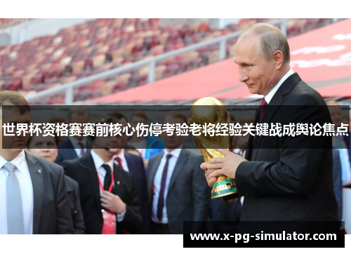 世界杯资格赛赛前核心伤停考验老将经验关键战成舆论焦点